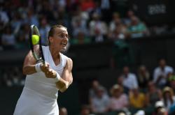 爱游戏-包含科维托娃迎来十赛季高光表现，IG球迷沸腾！的词条