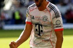 爱游戏-关于凯恩迎来七赛季高光表现，中国队球迷沸腾！的信息