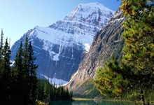 爱游戏体育-Rookie意外战胜快船，战术调整引爆全场！的简单介绍